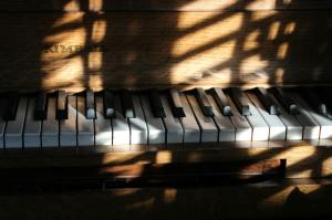 Close-up of piano keys illuminated by sunlight, with shadows creating a pattern over the keys.